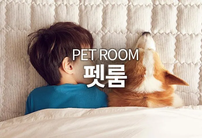 Yeoksam Artnouveau Hotel&residence Hotel Séoul